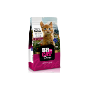 Br For Cat Pure Gatitos