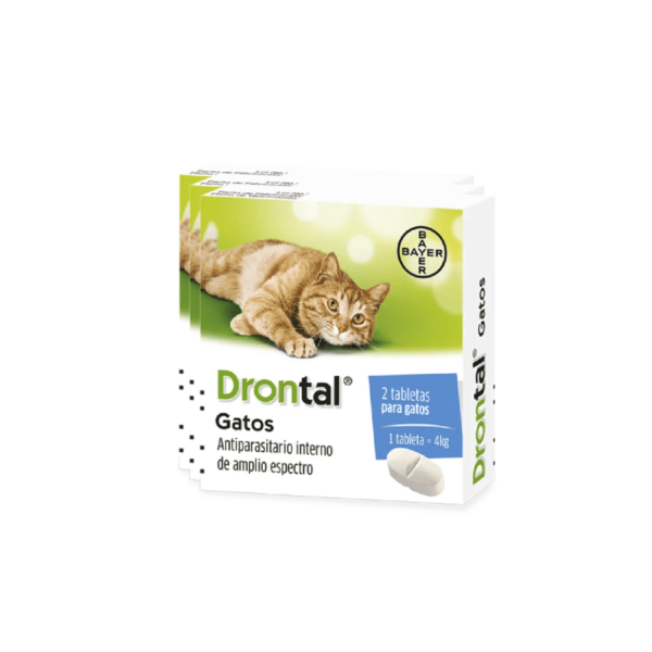 Drontal gatos