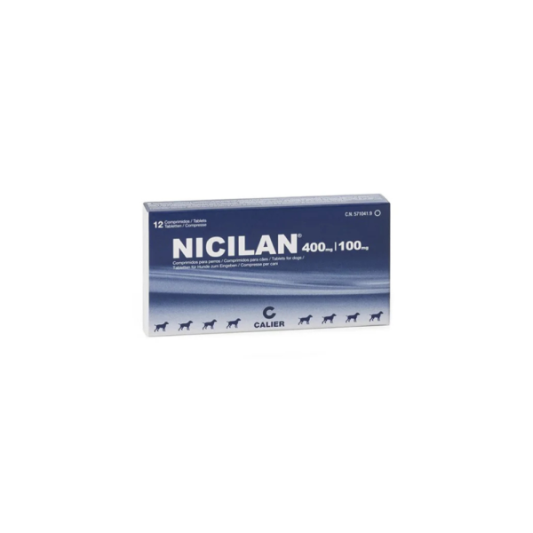 Nicilan Oral - Image 2