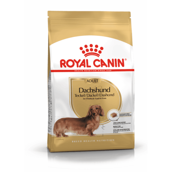 Royal canin Dachshund Adult