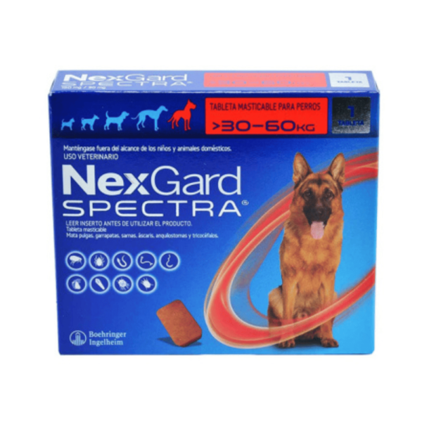 NexGard Spectra perro - Image 4